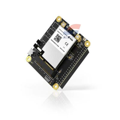 YJJ RAK5146 Модуль концентратора PiHAT, подходящий для LoRaWAN для сбора данных датчиков
